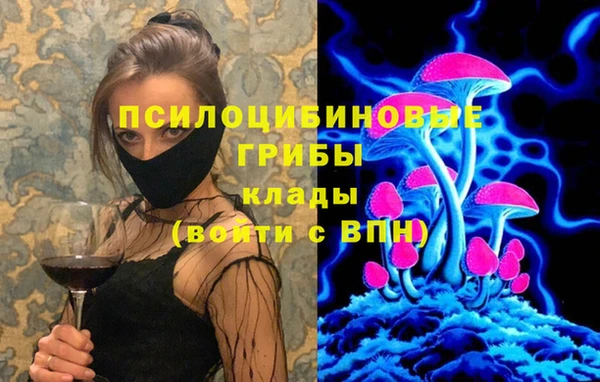 ECSTASY Армянск