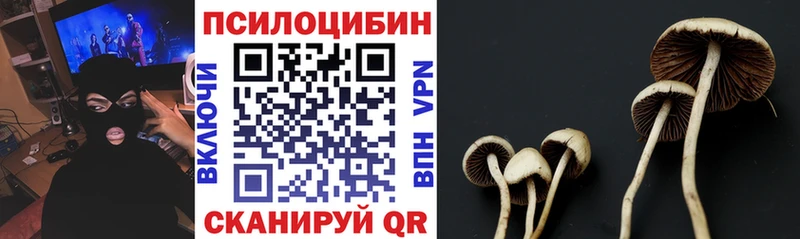 hydra как зайти  Устюжна  дарк нет клад  Псилоцибиновые грибы GOLDEN TEACHER 